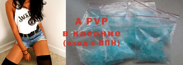 гашик Алексин
