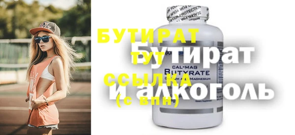 гашик Алексин