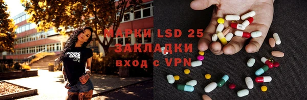 гашик Алексин