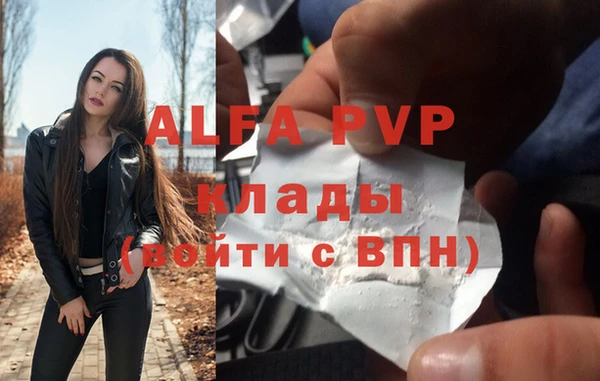 эйфоретик Алзамай