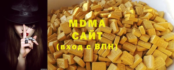 гашик Алексин