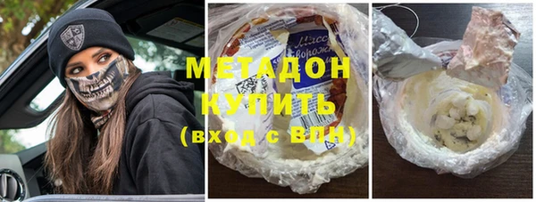 гашик Алексин