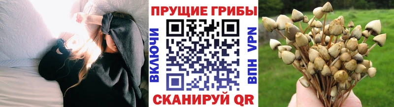 Псилоцибиновые грибы ЛСД  Томск 