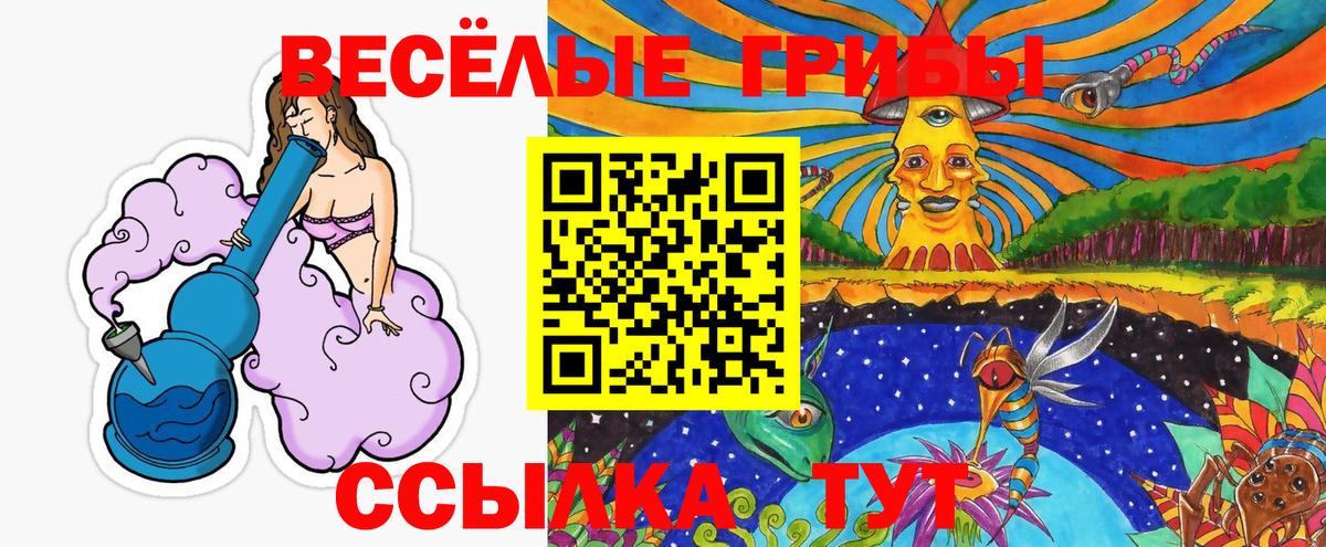 Галлюциногенные грибы прущие грибы  Вход с VPN  Томск 