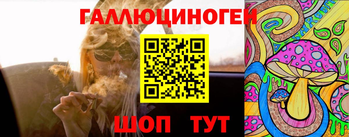 Галлюциногенные грибы мухоморы Томск